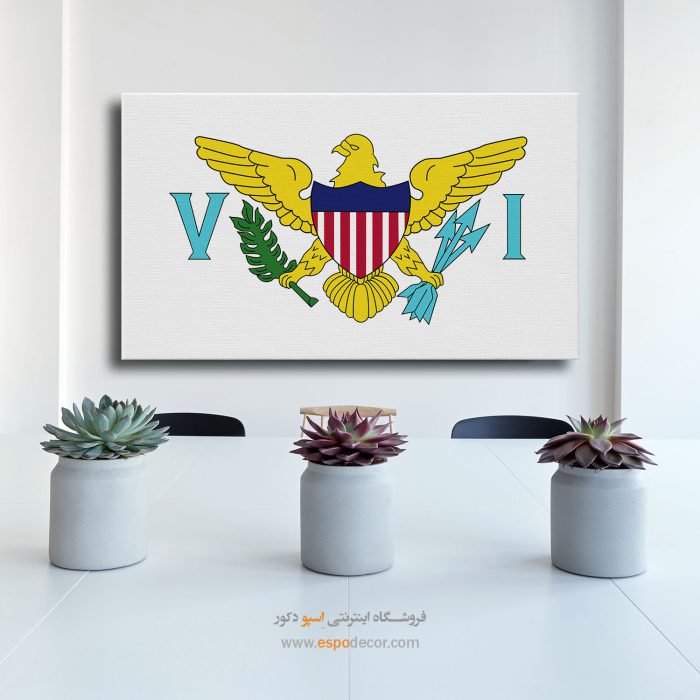 جزایر ویرجین ایالات متحده امریکا - تابلو بوم پرچم کشورها