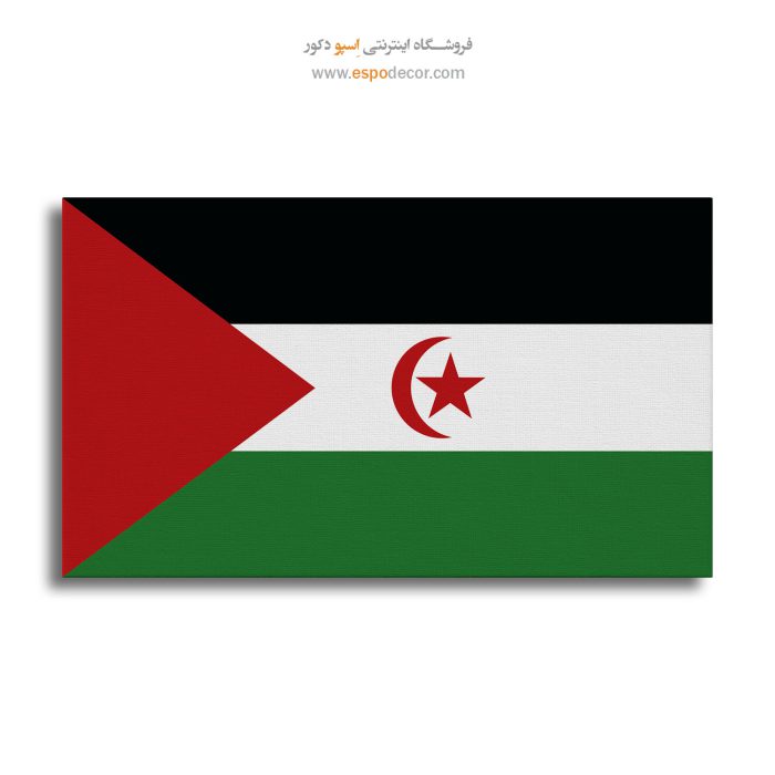 صحرای غربی - تابلو بوم پرچم کشورها