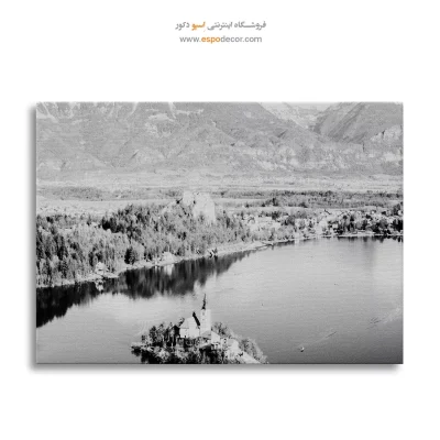نقاشی سیاه و سفید مدرن