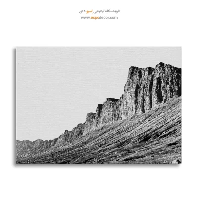 تابلو سیاه و سفید با الهام از طبیعت