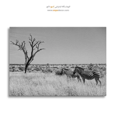 خرید تابلو سیاه و سفید دکوراسیون