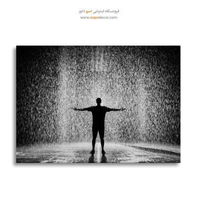 تابلو نقاشی سیاه و سفید شیک