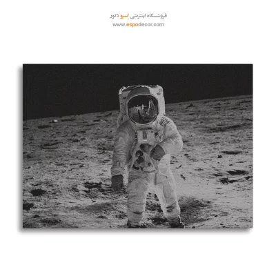 خرید تابلو سیاه و سفید لوکس