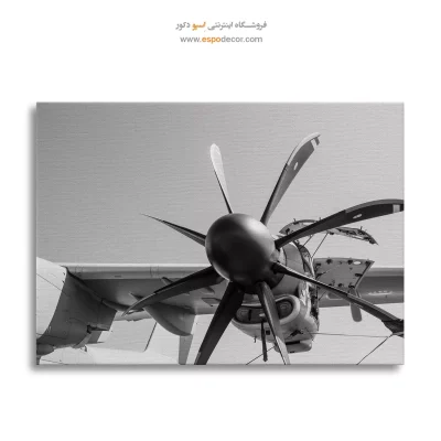 خرید تابلو فانتزی سیاه و سفید لوکس