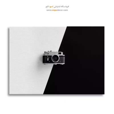 تابلو اتاق خواب سیاه و سفید مخصوص پذیرایی