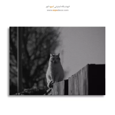 خرید اینترنتی تابلو بوم شیک لوکس