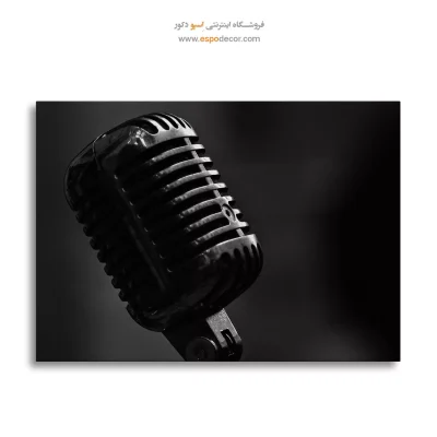 تابلو بوم سیاه و سفید برای اتاق