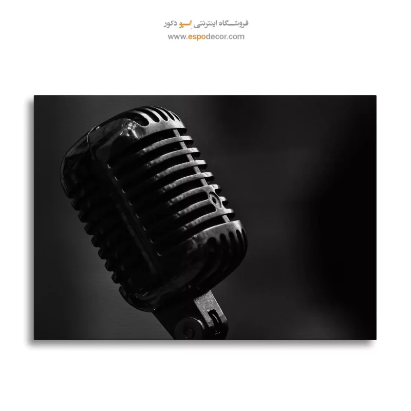 تابلو بوم سیاه و سفید برای اتاق