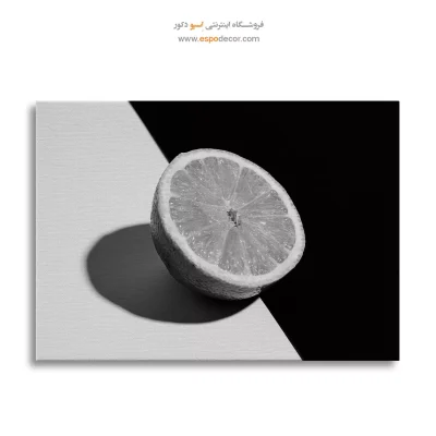 خرید تابلو بوم سیاه و سفید برای اتاق