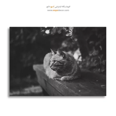 تابلو اتاق خواب سیاه و سفید شیک