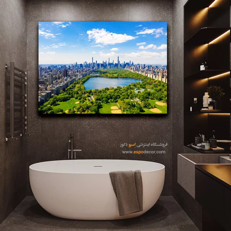 خرید تابلو پارک مرکزی منهتن