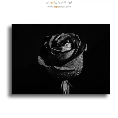 تابلو مدرن