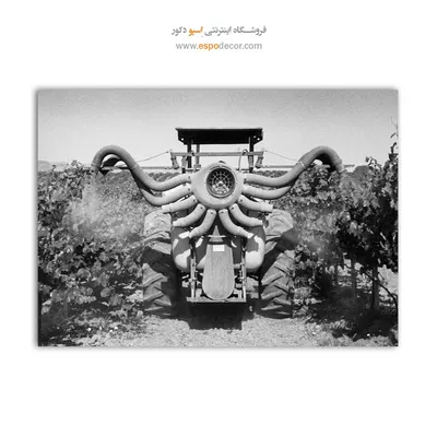 تابلو عکسهای مشهور