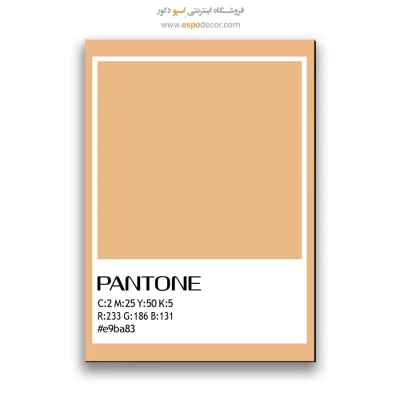 تابلو شاسی رنگهای پنتون
