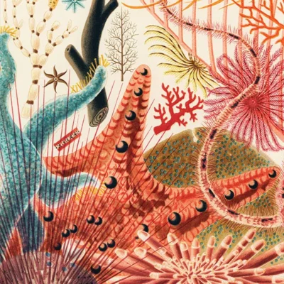 تابلو جانوران دریایی - جانوران دریایی - اسپو دکور