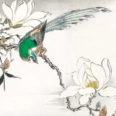 تابلو نقاشی ناماتا جاکو - ناماتا جاکو - اسپو دکور