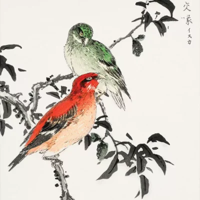 تابلو منوگرافی پرندگان - منوگرافی پرندگان - اسپو دکور