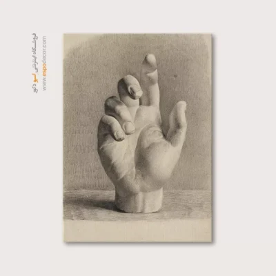 تابلو آناتومی - اسپو دکور