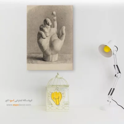 تابلو آناتومی - اسپو دکور