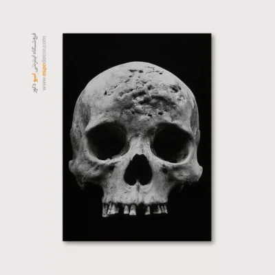 تابلو آناتومی - اسپو دکور