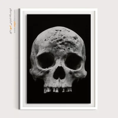 تابلو آناتومی - اسپو دکور