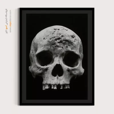 تابلو آناتومی - اسپو دکور
