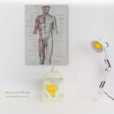 تابلو آناتومی - اسپو دکور