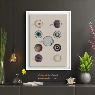 تابلو آناتومی - اسپو دکور