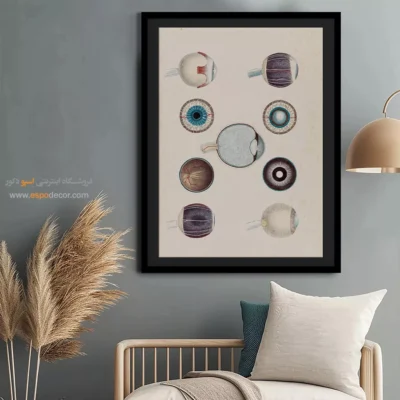 تابلو آناتومی - اسپو دکور