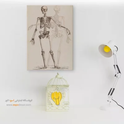 تابلو آناتومی - اسپو دکور