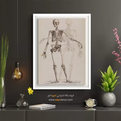 تابلو آناتومی - اسپو دکور