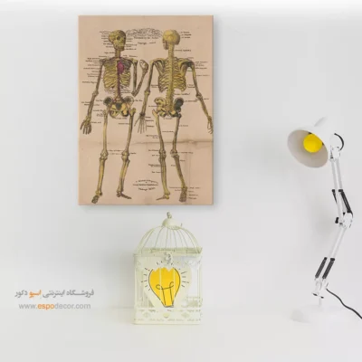 تابلو آناتومی - اسپو دکور