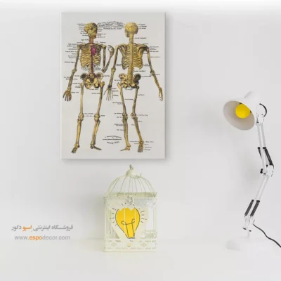تابلو آناتومی - اسپو دکور