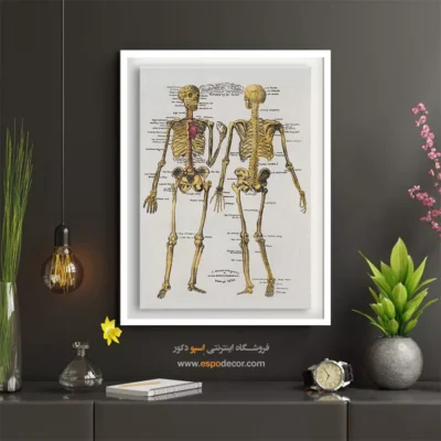 تابلو آناتومی - اسپو دکور