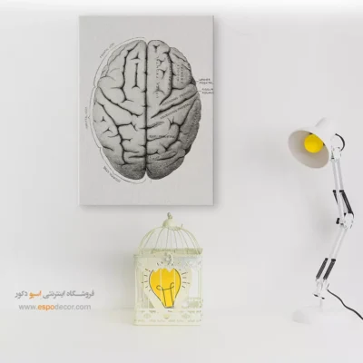 تابلو آناتومی - اسپو دکور