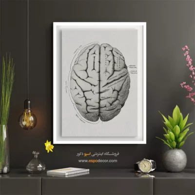 تابلو آناتومی - اسپو دکور