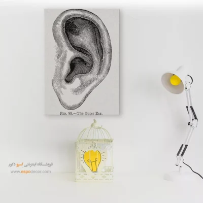 تابلو آناتومی - اسپو دکور