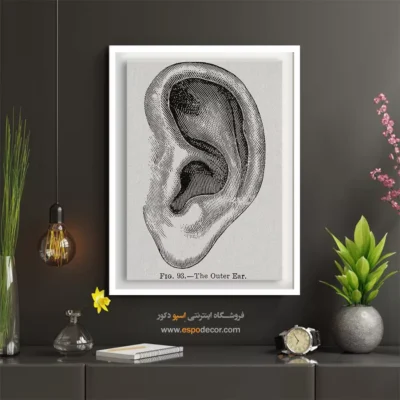 تابلو آناتومی - اسپو دکور