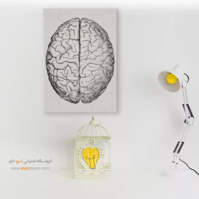 تابلو آناتومی - اسپو دکور