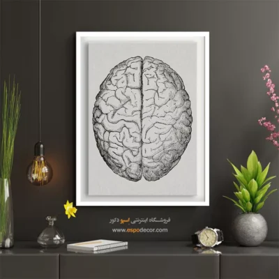 تابلو آناتومی - اسپو دکور