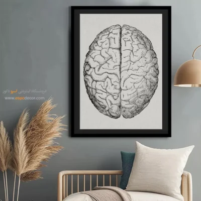 تابلو آناتومی - اسپو دکور