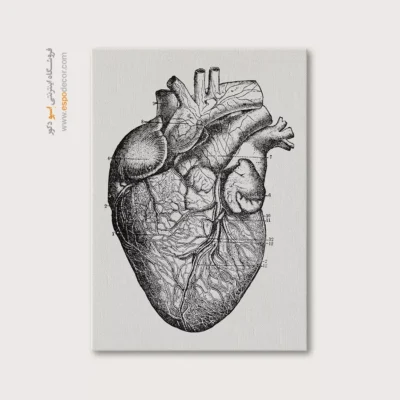 تابلو آناتومی - اسپو دکور