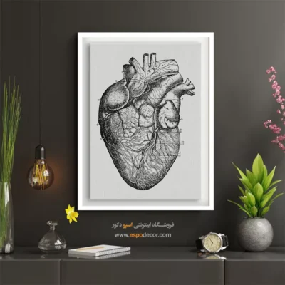 تابلو آناتومی - اسپو دکور