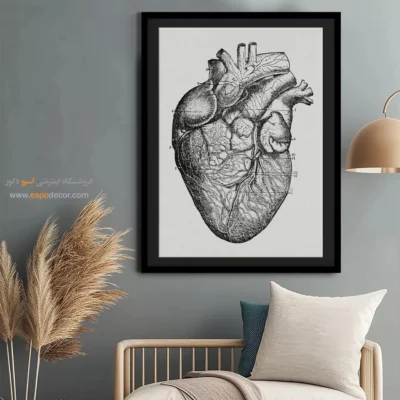 تابلو آناتومی - اسپو دکور