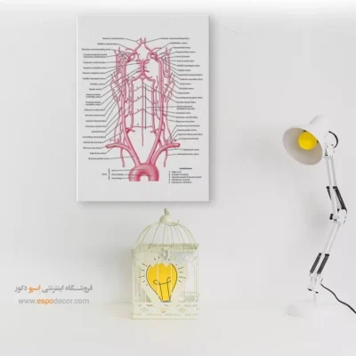 تابلو آناتومی - اسپو دکور