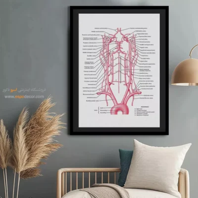تابلو آناتومی - اسپو دکور