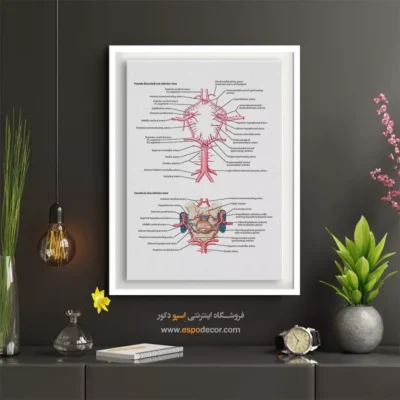 تابلو آناتومی - اسپو دکور