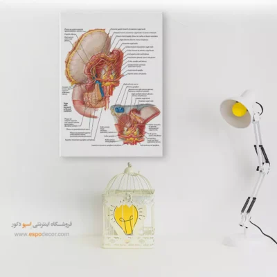 تابلو آناتومی - اسپو دکور