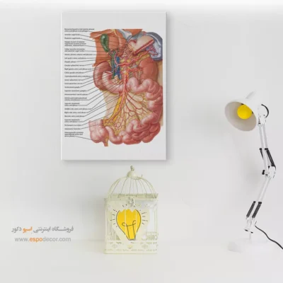 تابلو آناتومی - اسپو دکور