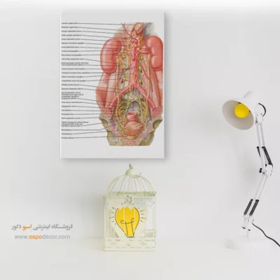 تابلو آناتومی - اسپو دکور